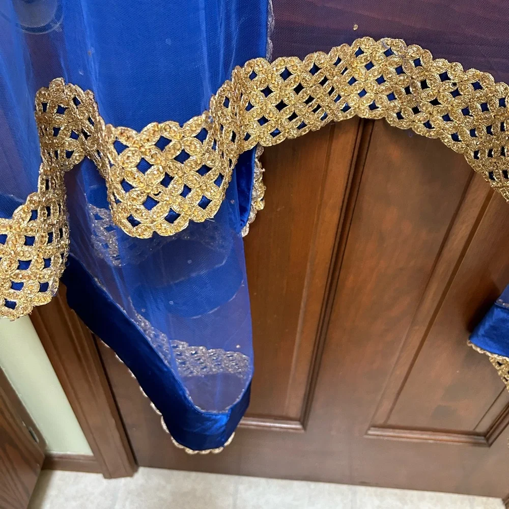 Royal Blue Net Dupatta with Gold Lace Border - Picture 6 of 10
